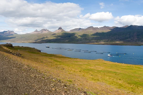 Fish farming in Iceland — Stock Photo, Image
