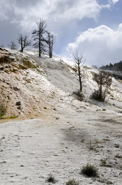 Mammoth Hot Springs in Yellowstone — Stock Photo, Image