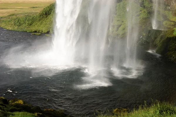 Wodospad Seljalandsfoss o wysokości — Zdjęcie stockowe