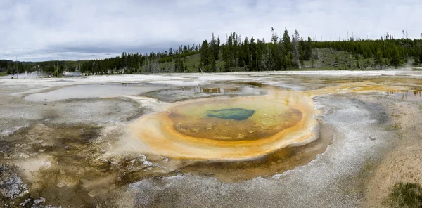 Panoramica di un geyser a Yellowstone — Foto Stock