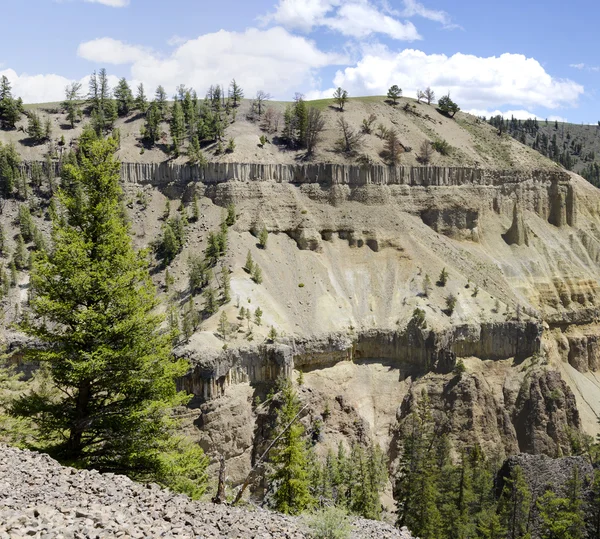 Kaňon řeky yellowstone — Stock fotografie