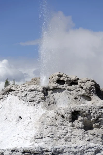 Geyser in Yellowstone — Stock Photo, Image