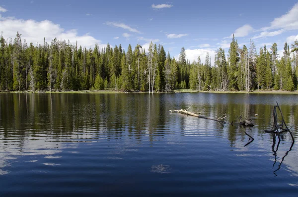 Yellowstone Lake — Stock Photo, Image