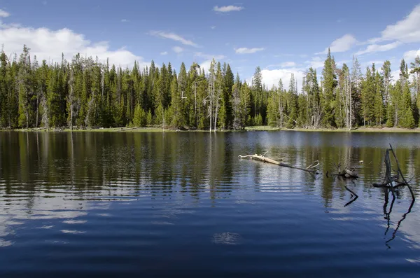 Yellowstone λίμνη — Φωτογραφία Αρχείου