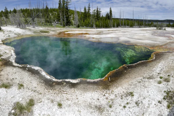 Гейзер басейну в Yellowstone панорамний — стокове фото