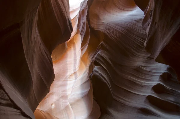 Canyon antilope in Arizona — Foto Stock