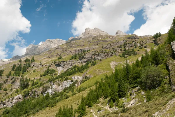 Berg i Schweiz — Stockfoto