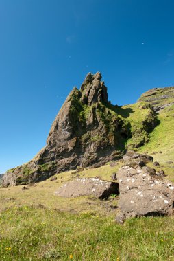 İzlanda'daki çim ile kaya