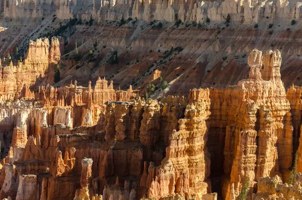 Canyon de Bryce — Photo