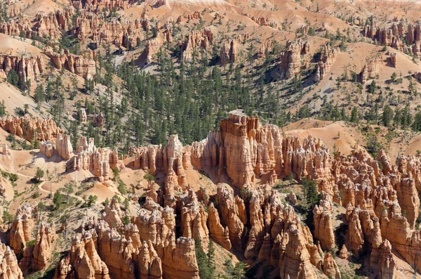 Canyon de Bryce — Photo