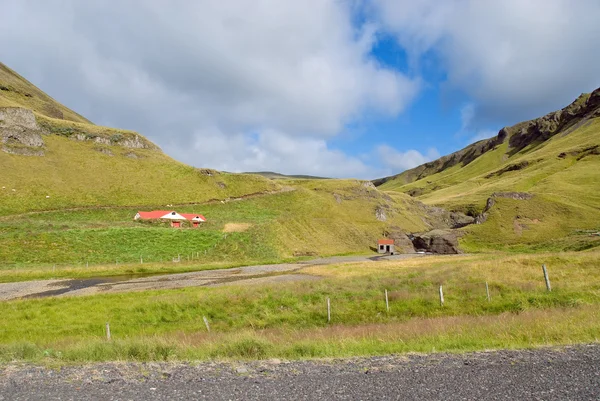 Ängar i Island — Stockfoto