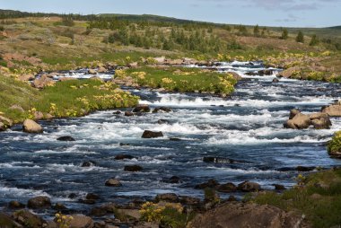 İzlanda'daki nehir
