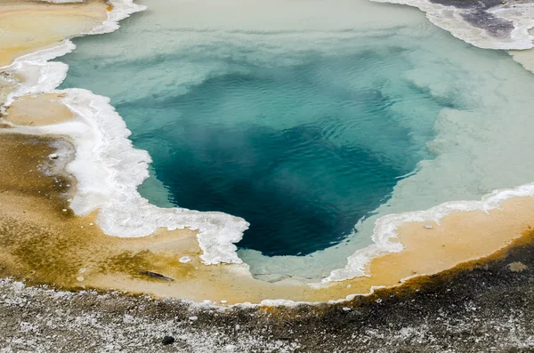 Geysir im Yellowstone — Stockfoto