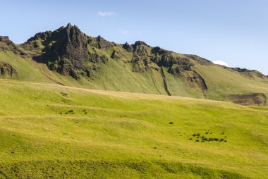 İzlanda'daki Meadows