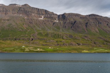 Deniz ve İzlanda'daki meadows