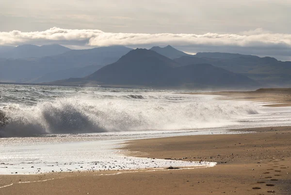 海とアイスランドのビーチ — ストック写真
