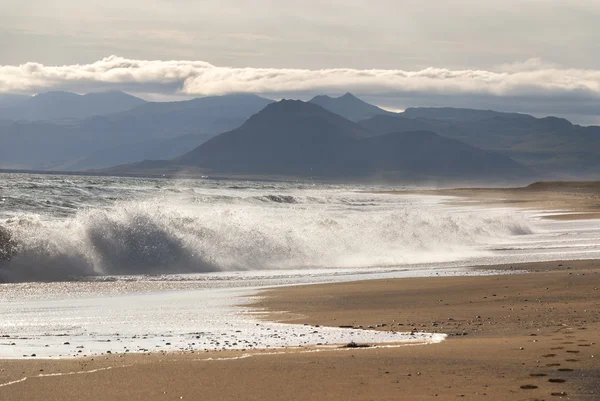 Sea and beach in Iceland — Stock Photo, Image