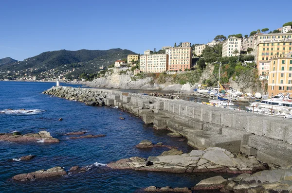 Порт Camogli — стокове фото