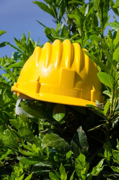 Helmet worker — Stock Photo, Image