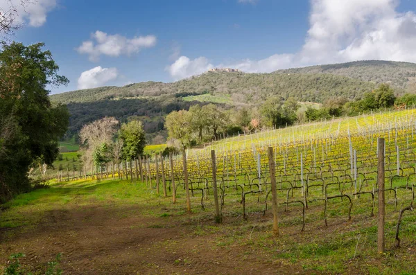 Landskap Landsbygden Toscana Italien — Stockfoto