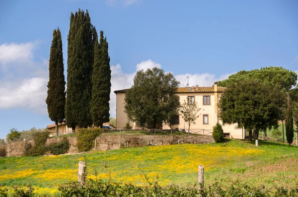 Lanskap Pedesaan Tuscany Italia — Stok Foto