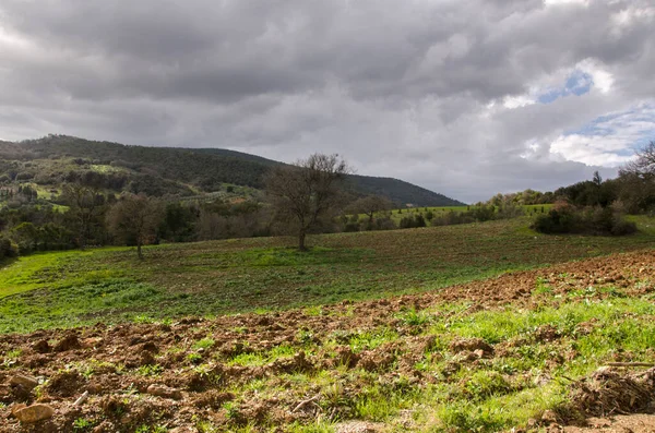 Paisagens Campo Toscana Itália — Fotografia de Stock