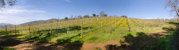 Landschappen Het Platteland Van Toscane Italië — Stockfoto