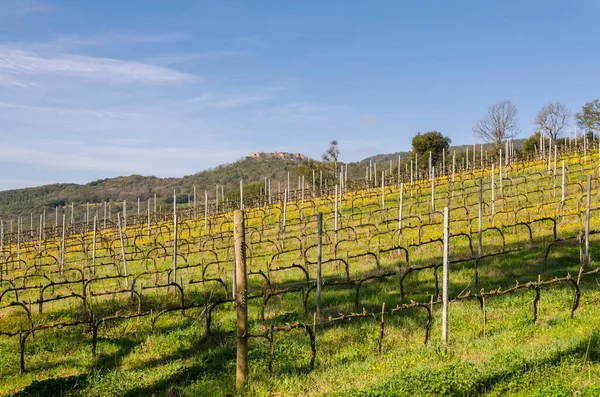 Landskap Landsbygden Toscana Italien — Stockfoto
