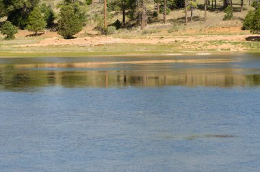 Amerika Birleşik Devletleri 'ndeki Bryce Canyon Ulusal Parkı' nda bir gölün üzerinde bulut