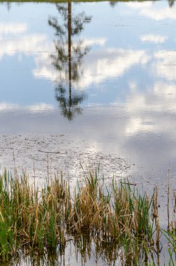 Amerika Birleşik Devletleri 'ndeki Bryce Canyon Ulusal Parkı' nda bir gölün üzerinde bulut