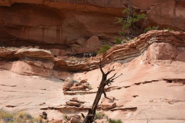 amerika birleşik devletleri canyonlands Milli park manzara