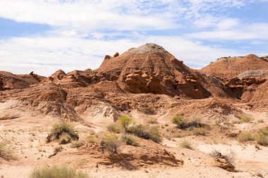 Amerika Birleşik Devletleri cin devlet parkta manzara