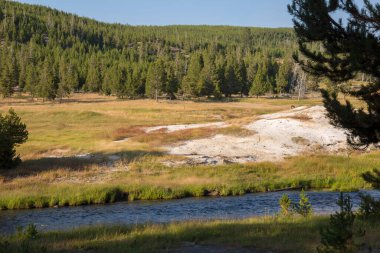 Wyoming Yellowstone Milli Parkı'nda eski sadık havzasında Gayzer ve kaplıca