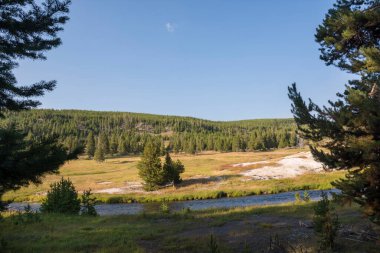 Wyoming Yellowstone Milli Parkı'nda eski sadık havzasında Gayzer ve kaplıca