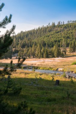 Wyoming Yellowstone Milli Parkı'nda eski sadık havzasında Gayzer ve kaplıca