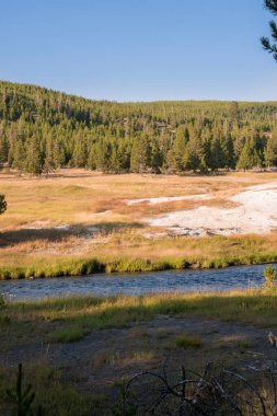 Wyoming Yellowstone Milli Parkı'nda eski sadık havzasında Gayzer ve kaplıca
