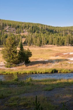 Wyoming Yellowstone Milli Parkı'nda eski sadık havzasında Gayzer ve kaplıca