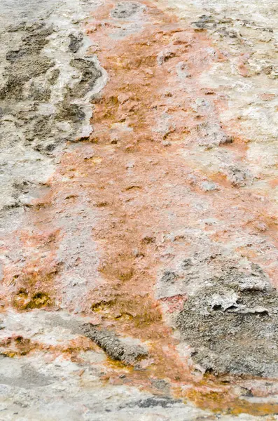 Geyser Fonte Termal Antiga Bacia Fiel Yellowstone National Park Wyoming — Fotografia de Stock