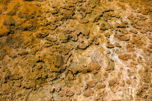 Гейзер Гаряче Джерело Старому Вірним Басейні Єллоустоунський Національний Парк Штаті — стокове фото