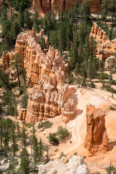 Paysage Sur Canyon Bryce Dans Les États Unis Amérique — Photo