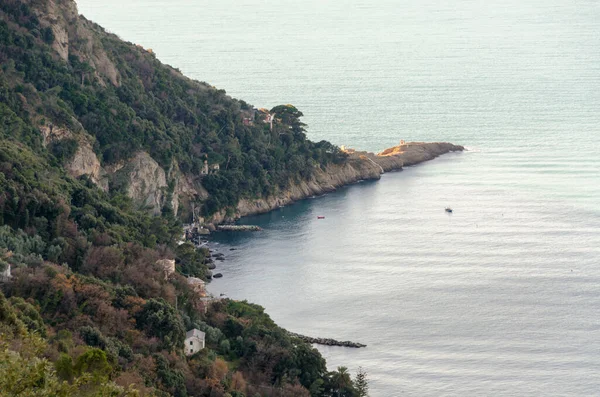 Punta Chiappa Étendue Côte Sur Promontoire Portofino Gênes Ligurie — Photo
