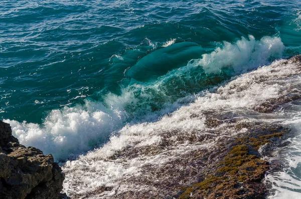 プンタChiappa リグーリア州のジェノヴァのポルトフィーノ岬の海岸のストレッチ — ストック写真