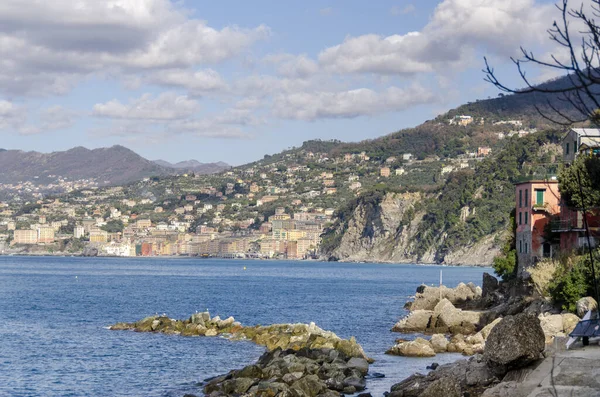 Punta Chiappa Liguria Nın Cenova Kentindeki Portofino Kıyı Şeridi — Stok fotoğraf