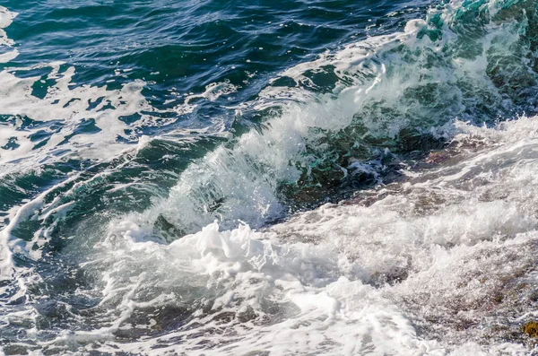 プンタChiappa リグーリア州のジェノヴァのポルトフィーノ岬の海岸のストレッチ ストック画像