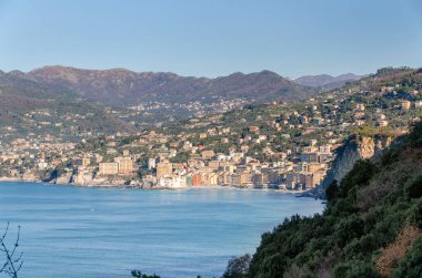 Punta Chiappa, Liguria 'nın Cenova kentindeki Portofino' da kıyı şeridi.