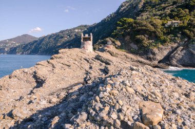 Punta Chiappa, Liguria 'nın Cenova kentindeki Portofino' da kıyı şeridi.