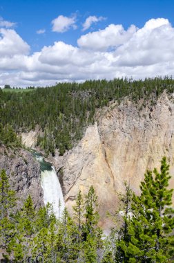 Yellowstone Nehri ve Wyoming Yellowstone Milli Parkı 'nda ingrand Kanyon düşüyor