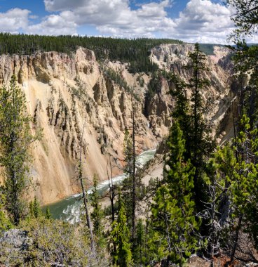 Yellowstone Nehri ve Wyoming Yellowstone Milli Parkı 'nda ingrand Kanyon düşüyor