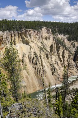 Yellowstone Nehri ve Wyoming Yellowstone Milli Parkı 'nda ingrand Kanyon düşüyor