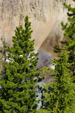 Yellowstone Nehri ve Wyoming Yellowstone Milli Parkı 'nda ingrand Kanyon düşüyor